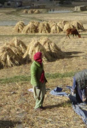 Pakistan - The Old Silk Route Cycling Holiday 9