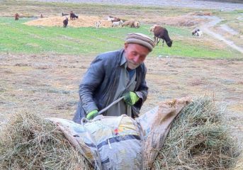 Rural life in Pakistan