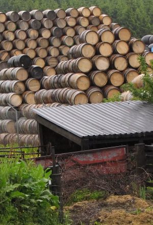 Scotland Cairngorms and Speyside Self-Guided Cycling Holiday 3