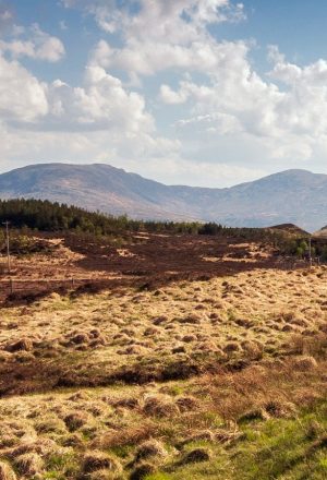 Scotland Cairngorms and Speyside Self-Guided Cycling Holiday 4