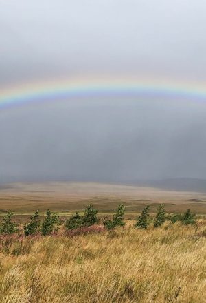 Scotland Cairngorms and Speyside Self-Guided Cycling Holiday 8