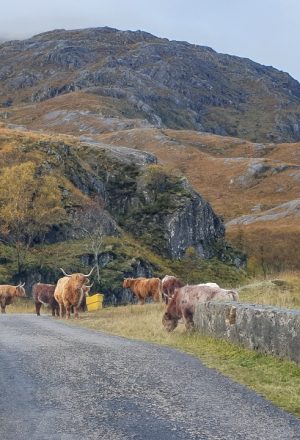 Scotland Remote Highlands Cycling Holiday 13