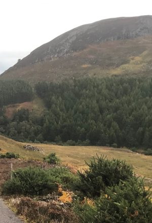 Scotland Remote Highlands Cycling Holiday 25