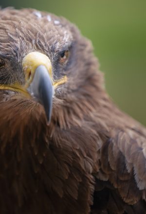 Scotland The Far North Cycling Holiday 12