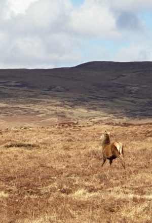 Scotland The Far North Cycling Holiday 19