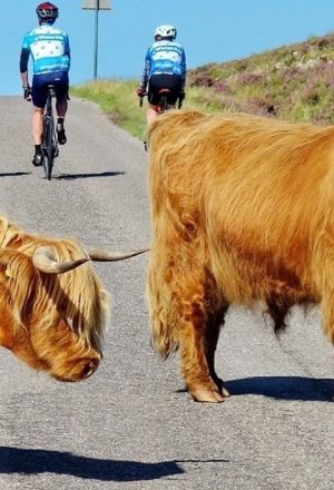 Scotland The Far North Cycling Holiday 22