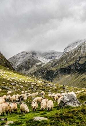 Scotland The Far North Cycling Holiday 25