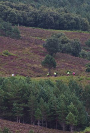 Scotland The Far North Cycling Holiday 34