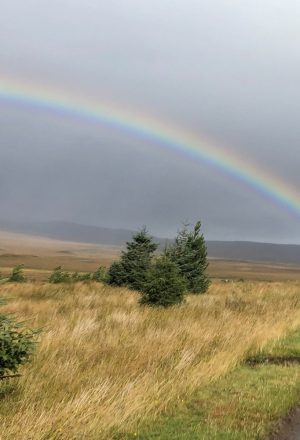 Scotland The Far North Cycling Holiday 52
