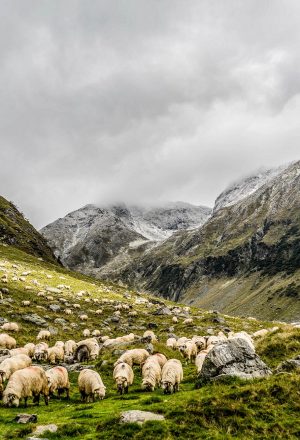 Scotland The Wild West Cycling Holiday 10