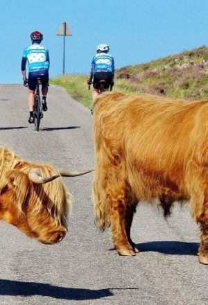 Scotland The Wild West Cycling Holiday 4