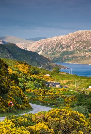 Scotland The Wild West Cycling Holiday 8