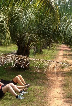 South Thailand Cycling Holiday 19