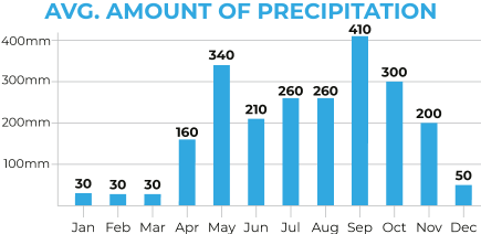 Thailand South Average Precipitation Chart
