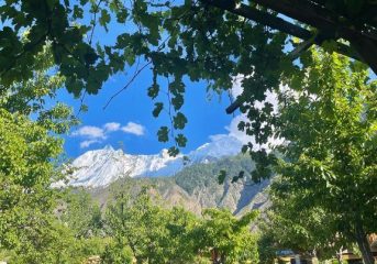 Dumani Nagar Hotel & Resort