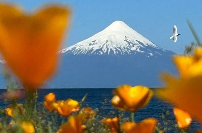 5 star review from Audrey Midgley, Ilkley, England, UK