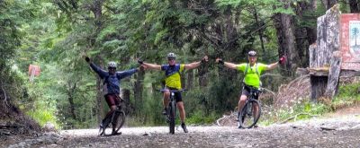 5 star review from Dave Tonge, Chorleywood, England, UK