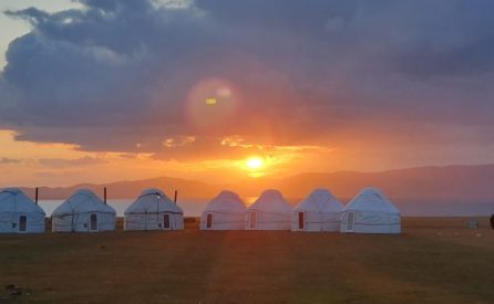 4 star review from Lowri Woodier, Pandy, Abergavenny, Wales