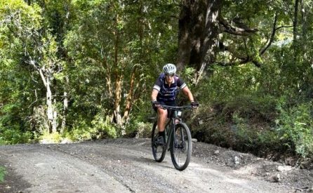4 star review from Mrs Giselle Whish, Paddington, Australia